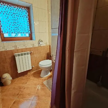 Проживание в семье Widokowka *